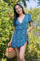 Bernie in Apple Picking gallery from FEMJOY by Ora - #7