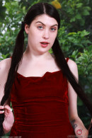 Daydream Daisy in Amateur gallery from ATKPETITES by GB Photography - #10