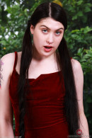 Daydream Daisy in Amateur gallery from ATKPETITES by GB Photography - #8