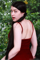 Daydream Daisy in Amateur gallery from ATKPETITES by GB Photography - #9