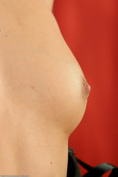 Madison in  gallery from ATKARCHIVES by Russ T. / Grant M. - #10