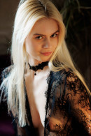 Amelia Midnight Chess Moves Transparent Lingerie Magic gallery from CHARMMODELS by Domingo - #10