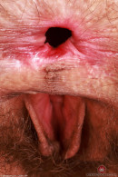 Sia Wood in Amateur gallery from ATKPETITES by GB Photography - #7