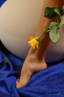 Hebe M in Hebe - Sent Me A Bouquet gallery from STUNNING18 by Thierry Murrell - #16