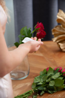 Cherry Blossom in Roses And Orgasm 1 gallery from METART-X by Tora Ness - #2