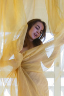 Sofy Bee in Aramaribi III gallery from RYLSKY ART by Rylsky - #1