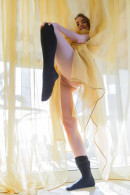 Sofy Bee in Aramaribi III gallery from RYLSKY ART by Rylsky - #7