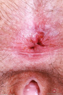 Gigi Loves To Strip gallery from ATKHAIRY by GB Photography - #7