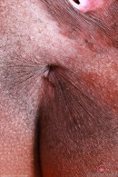 Poppy Cox in Gallery #16777215 gallery from ATKEXOTICS - #6