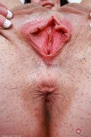 Daydream Daisy in Amateur gallery from ATKPETITES by GB Photography - #5