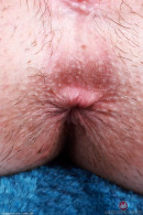 Daydream Daisy in Amateur gallery from ATKPETITES by GB Photography - #5