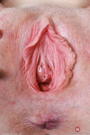 Avery Wilds in Babes gallery from ATKPETITES by GB Photography - #6