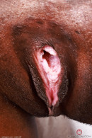 Poppy Cox in Gallery #16777215 gallery from ATKEXOTICS - #7