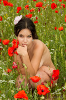 Cara Q in Cara - Field Of Red Roses gallery from STUNNING18 by Thierry Murrell - #15