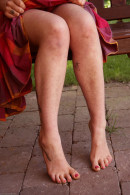 Urtica in  gallery from ATKARCHIVES by R Williams - #1