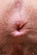 Violet Viper Lingerie And Stockings Hairy Pussy Spreading gallery from ATKHAIRY by GB Photography - #6