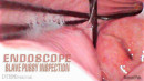 Endoscope Slave Pussy Inspection gallery from SENSUALPAIN - #7