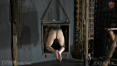 Mouse Boxed Pussy gallery from SENSUALPAIN - #1
