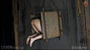 Mouse Boxed Pussy gallery from SENSUALPAIN - #4