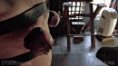 Needles And Single Pole Prison Escape gallery from SENSUALPAIN - #6
