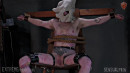 FtM Tortured On Crotch Chair gallery from SENSUALPAIN - #1