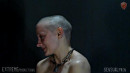 First Head Shave 587 Slave gallery from SENSUALPAIN - #9