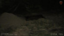 Night Walk To The Pit gallery from SENSUALPAIN - #10
