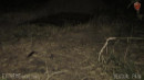 Night Walk To The Pit gallery from SENSUALPAIN - #5