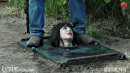 Out Of The Pit For Training gallery from SENSUALPAIN - #13