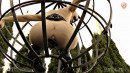 The Dig gallery from SENSUALPAIN - #4
