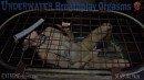 Underwater Breathplay Orgasms gallery from SENSUALPAIN - #3