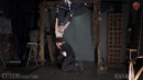 Mouse Dart Tech Play gallery from SENSUALPAIN - #4