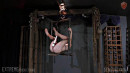 Maul Handled On Perch gallery from SENSUALPAIN - #2