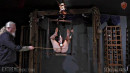 Maul Handled On Perch gallery from SENSUALPAIN - #4