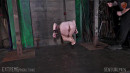 Suspended Ring Slave Pussy gallery from SENSUALPAIN - #4
