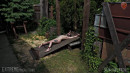 Female Slave Whipped On Rack gallery from SENSUALPAIN - #6