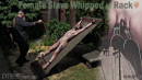 Female Slave Whipped On Rack gallery from SENSUALPAIN - #8