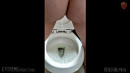 Slave Pumping Dildo Peeing Sucking Cock gallery from SENSUALPAIN - #9