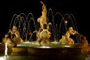 Sary Gimalda Chill Guy Park gallery from ZISHY by Zach Venice - #7