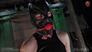 Fem Gimp In Training gallery from SENSUALPAIN - #12