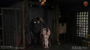 Spank And Squirt gallery from SENSUALPAIN - #14