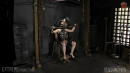 Mouse Behind The Bar gallery from SENSUALPAIN - #2
