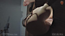 Bisected Mouse gallery from SENSUALPAIN - #11