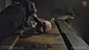 Bisected Mouse gallery from SENSUALPAIN - #3