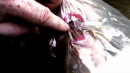 Morphic Resonance Under Plastic Erofm007 gallery from SENSUALPAIN - #3