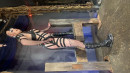 Dolly And Rouxe Bdsm Educational gallery from SENSUALPAIN - #13