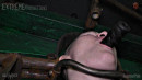 Pain Trained Slave In Gibbet gallery from SENSUALPAIN - #6