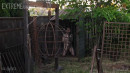 Shame Flute Incarceration gallery from SENSUALPAIN - #14