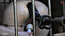 Permission To Cum Directive gallery from SENSUALPAIN - #3