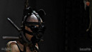 Orgasm Oinker gallery from SENSUALPAIN - #9